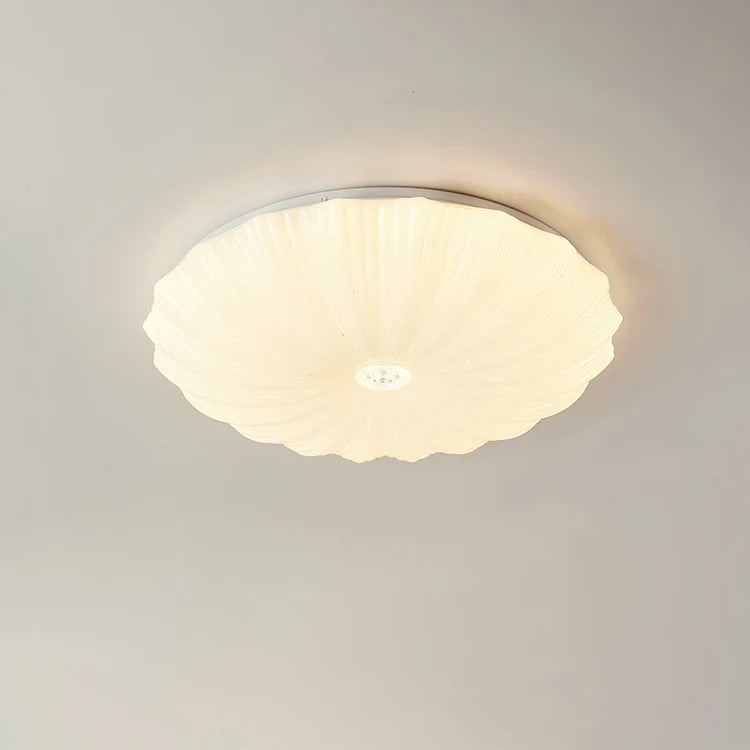 Ceiling Lamp