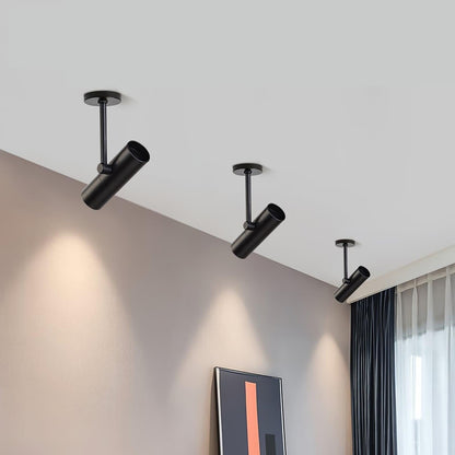 Arden Pivot Ceiling Spotlight