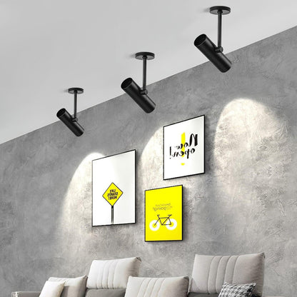 Arden Pivot Ceiling Spotlight
