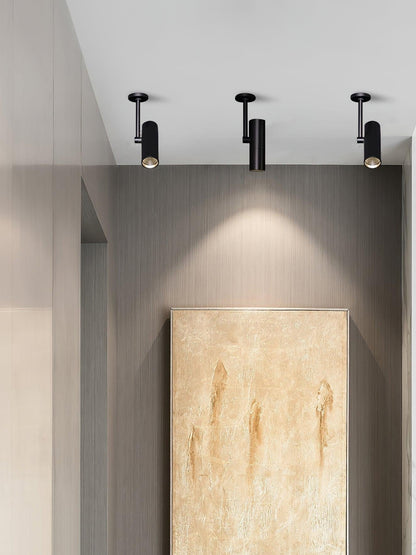 Arden Pivot Ceiling Spotlight