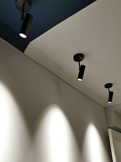 Arden Pivot Ceiling Spotlight