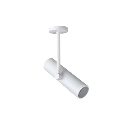 Arden Pivot Ceiling Spotlight
