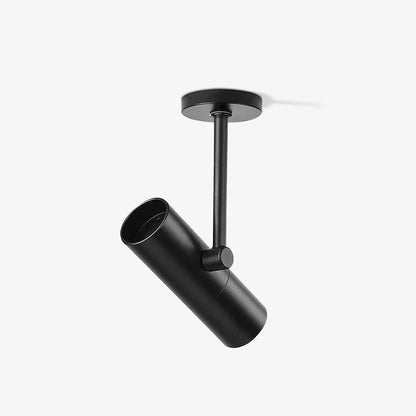 Arden Pivot Ceiling Spotlight