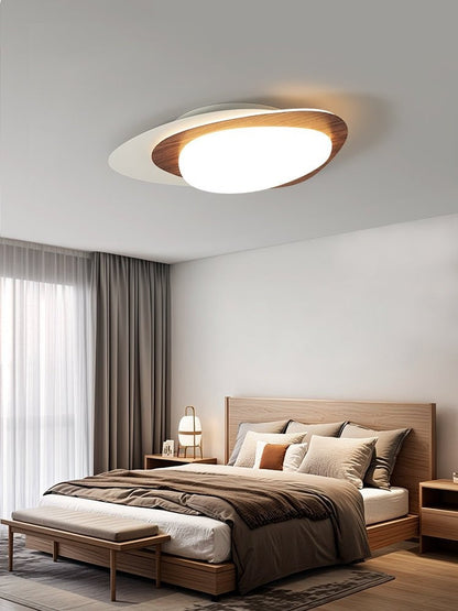 Orbis Loop LED Ceiling Light
