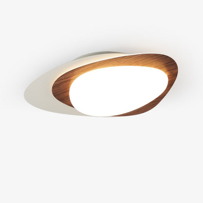 Orbis Loop LED Ceiling Light