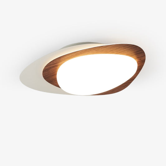 Orbis Loop LED Ceiling Light